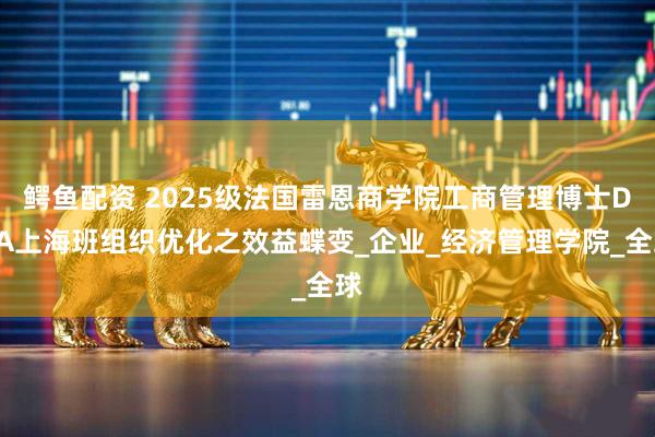 鳄鱼配资 2025级法国雷恩商学院工商管理博士DBA上海班组织优化之效益蝶变_企业_经济管理学院_全球