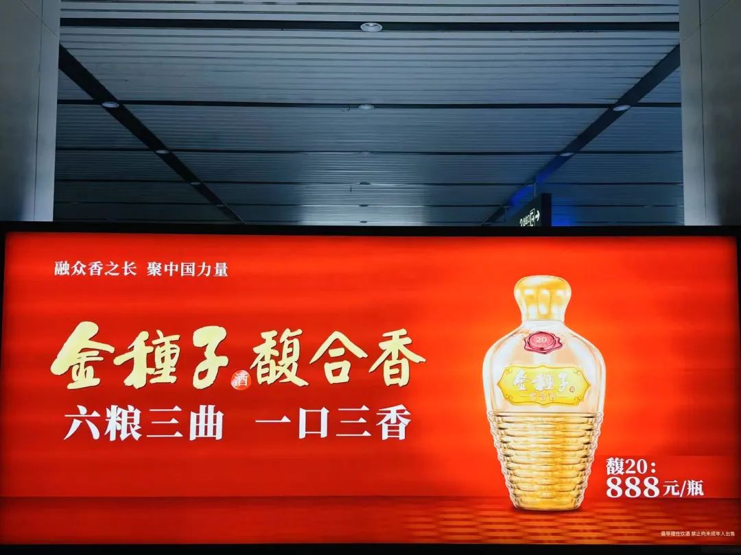 孙婉秋摄