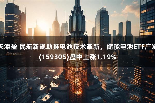 天添盈 民航新规助推电池技术革新，储能电池ETF广发(159305)盘中上涨1.19%