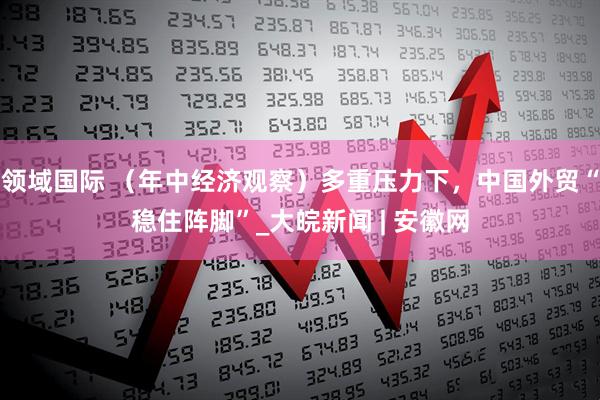 领域国际 （年中经济观察）多重压力下，中国外贸“稳住阵脚”_大皖新闻 | 安徽网