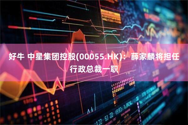 好牛 中星集团控股(00055.HK)：薛家麟将担任行政总裁一职
