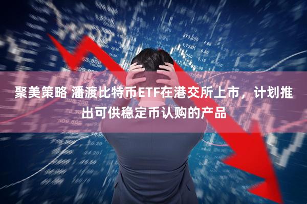 聚美策略 潘渡比特币ETF在港交所上市，计划推出可供稳定币认购的产品