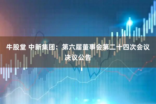 牛股堂 中新集团：第六届董事会第二十四次会议决议公告