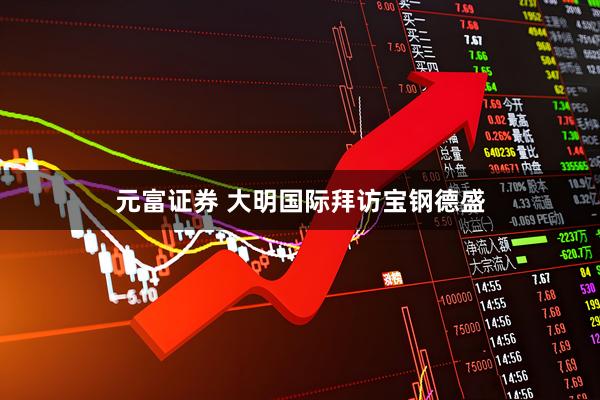 元富证券 大明国际拜访宝钢德盛